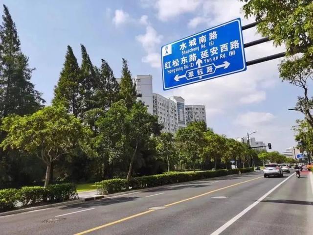 长宁这条路获评“上海市绿化特色道路”，快来看看有多美！