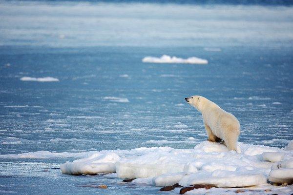 【深度】考核人类气候行动的COP28结束，我们距离“安全着陆”有多远？