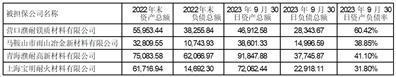 濮阳濮耐高温材料（集团）股份有限公司关于2024年度向控股子公司提供融资担保的公告