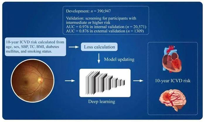 平安e生保·慢病医疗2024再升级！首次纳入鹰瞳Airdoc视网膜AI健康风险评估服务