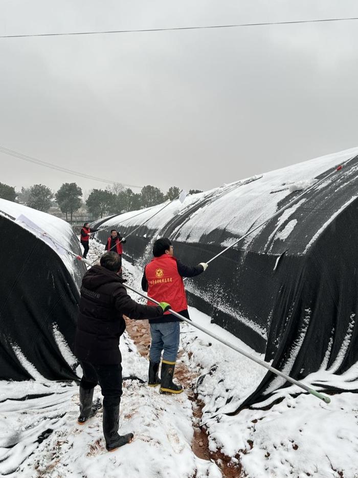 怀宁县黄墩镇：清冰除雪 暖冬更暖心