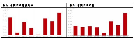 寻寻觅觅 玉米底在哪里