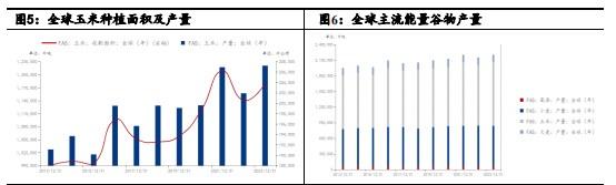 寻寻觅觅 玉米底在哪里