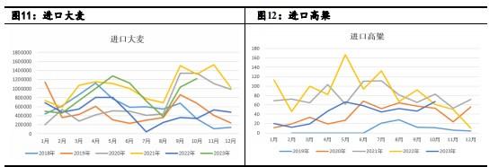 寻寻觅觅 玉米底在哪里