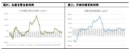 寻寻觅觅 玉米底在哪里