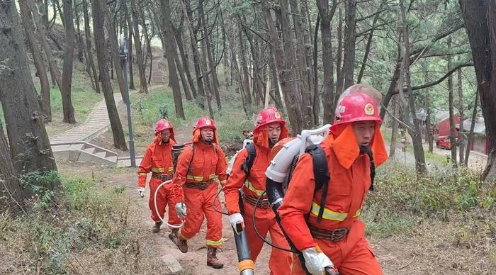 古柏林装上避雷针，许愿树下藏消防水池……记者探访绵阳梓潼七曲山冬季森林防火