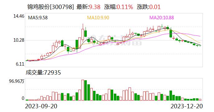 锦鸡股份： 我公司10000p智算算力项目名称为英智（南山）AI创新赋能中心项目