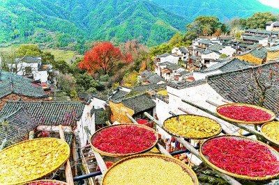 走进四个新晋世界旅游组织“最佳旅游乡村” 探寻绿水青山中的共富密码