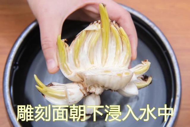 如何DIY一盆独一无二的水仙花？教程请戳→