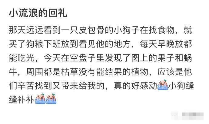 “考完英语四六级应该怎样发朋友圈？”