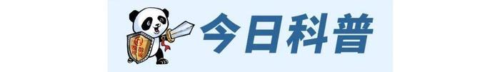 熊猫斩谣（2023年12月19日）