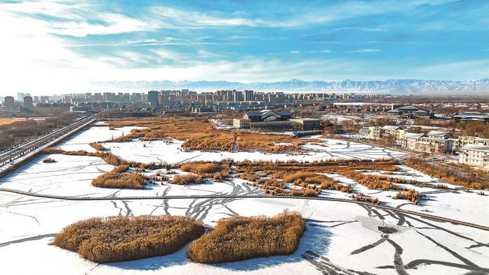 雪后湿地生态美如画