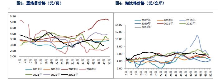 饲料成本支撑减弱 鸡蛋价格继续震荡盘整