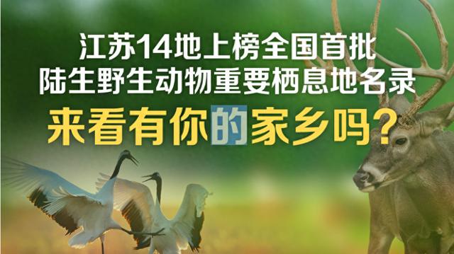 动态海报 | 江苏14地上榜全国首批陆生野生动物重要栖息地名录，来看有你的家乡吗？