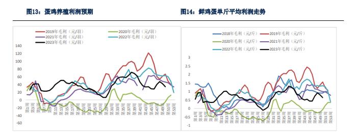 饲料成本支撑减弱 鸡蛋价格继续震荡盘整