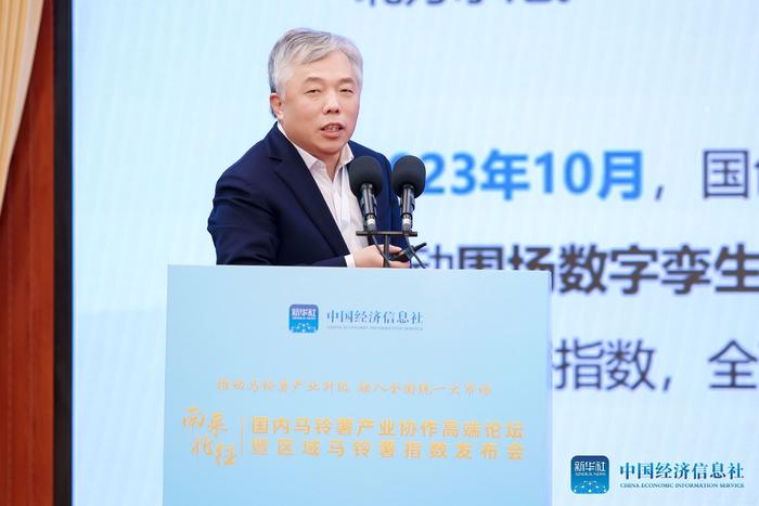图为京津冀国家技术创新中心河北中心主任刘宁