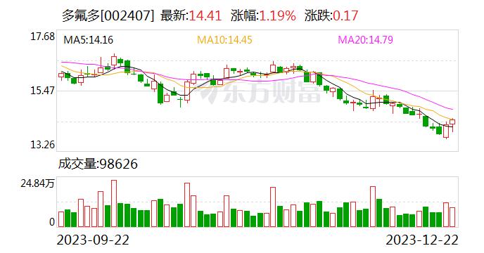 多氟多李世江：加快产业升级 努力走传统产业不传统发展之路 | 2024新动能