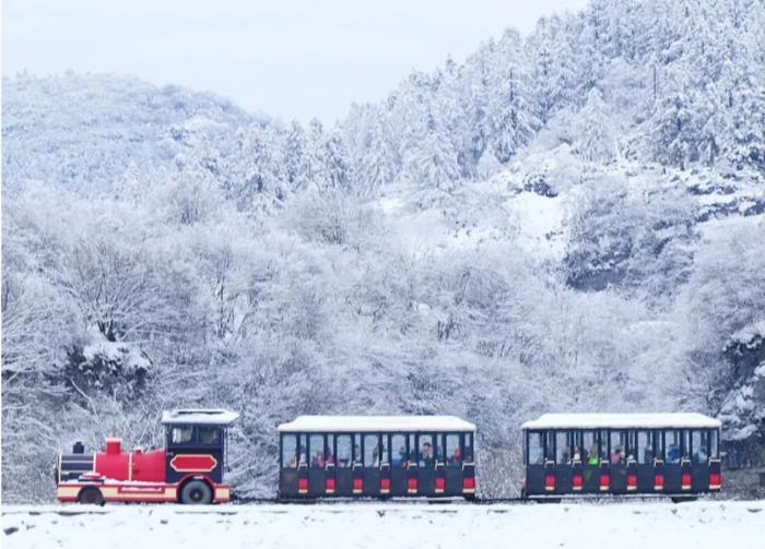 重庆仙女山冰雪季推介会亮相成都，首批百人团从“蓉”出发自驾游武隆