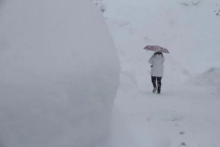 山东威海遭遇极端暴雪，积雪超70厘米破历史极值！全球变暖下为何还这么冷？