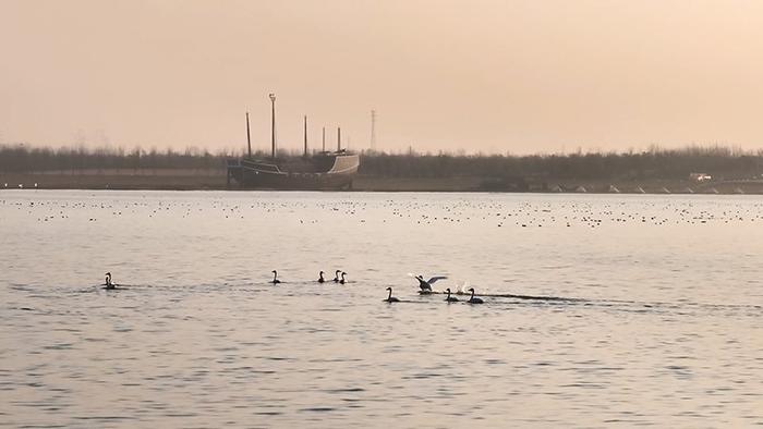 你所不知的滁州③|全国首个“幸福湖”是怎样炼成的？