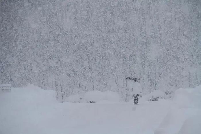 山东威海遭遇极端暴雪，积雪超70厘米破历史极值！全球变暖下为何还这么冷？