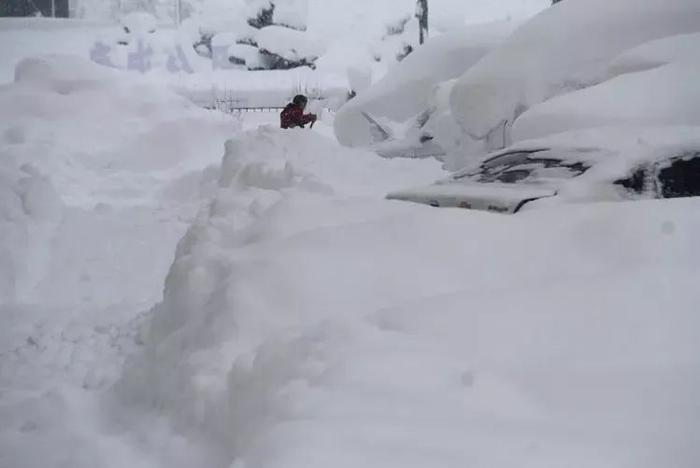 山东威海遭遇极端暴雪，积雪超70厘米破历史极值！全球变暖下为何还这么冷？