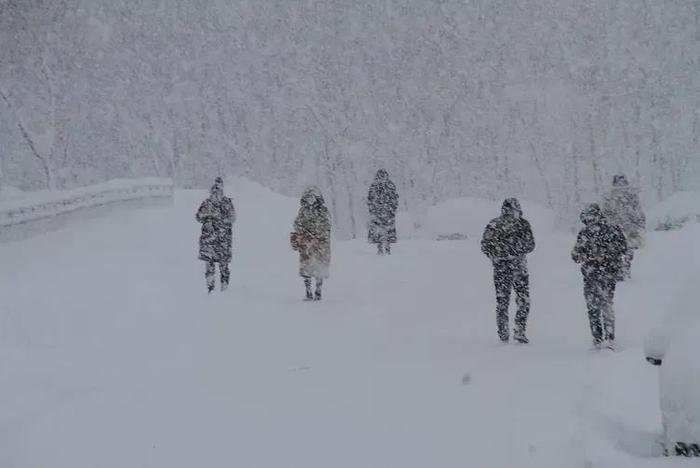 山东威海遭遇极端暴雪，积雪超70厘米破历史极值！全球变暖下为何还这么冷？