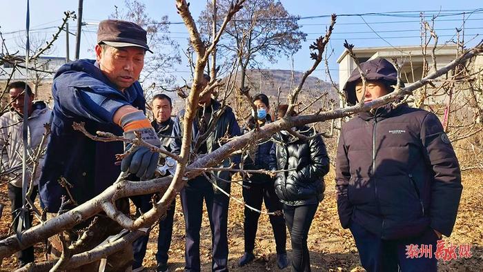 天水皂郊镇董家坪村“人大代表之家”： 办民生实事 履代表职责