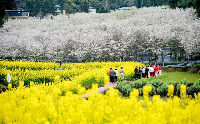 2023影像盘点｜光阴故事—摄影师 梁本俭