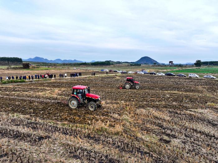 广西富川县烟草专卖局：田间地头变课堂，冬耕深翻“充电忙”