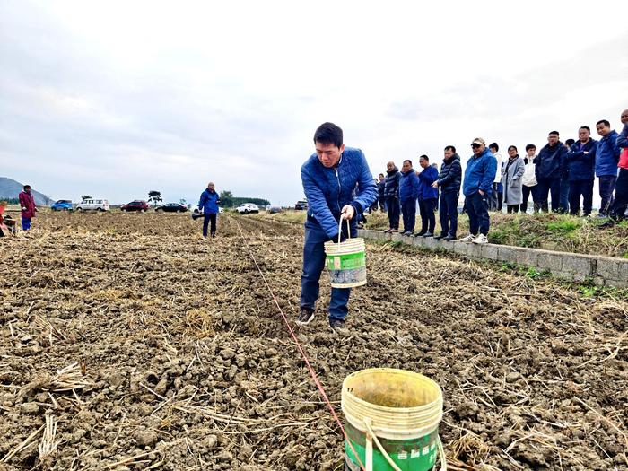 广西富川县烟草专卖局：田间地头变课堂，冬耕深翻“充电忙”