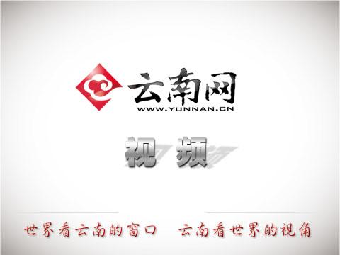 系列短纪录片《云南产业新动能》第二季第一集：云南新材料产业涌动生机