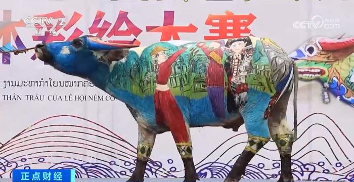 “一城连三国”节日有新意 云南江城牛体彩绘盼丰收