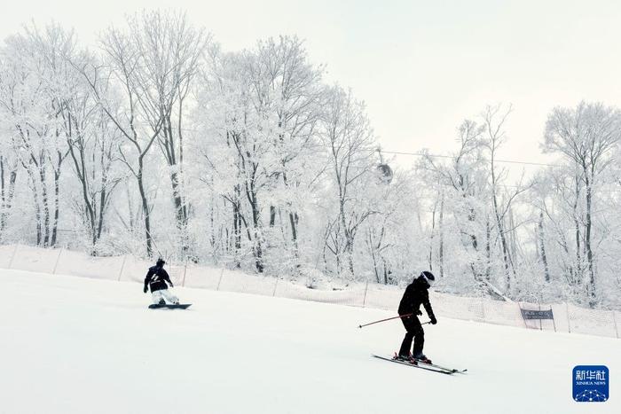 镜头连中外丨从阿尔卑斯山到长白山：“世界冰雪黄金纬度带”冰雪经济正“火热”