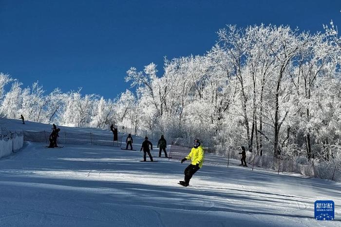 镜头连中外丨从阿尔卑斯山到长白山：“世界冰雪黄金纬度带”冰雪经济正“火热”