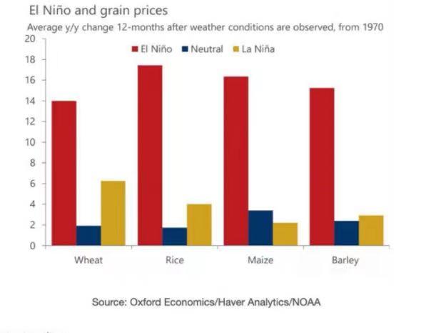 好收成碰上“厄尔尼诺”，2024年全球粮食危机会持续吗？