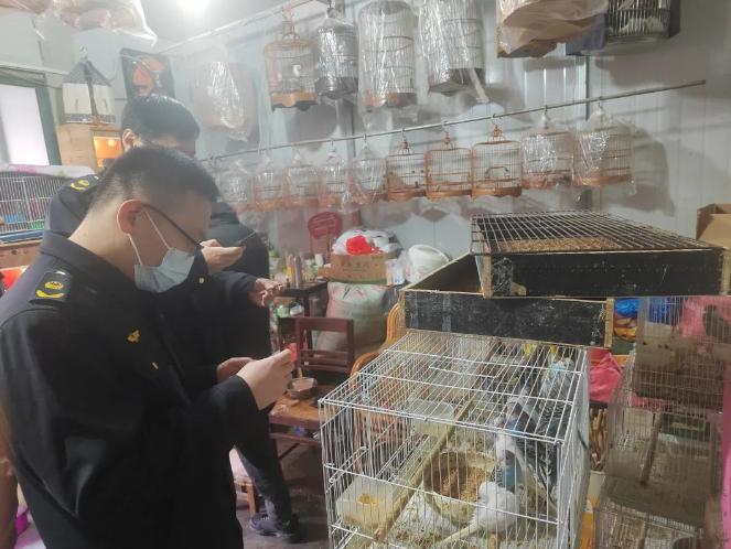 上海市市场监管局、市绿化市容局开展“网盾行动”联合执法检查