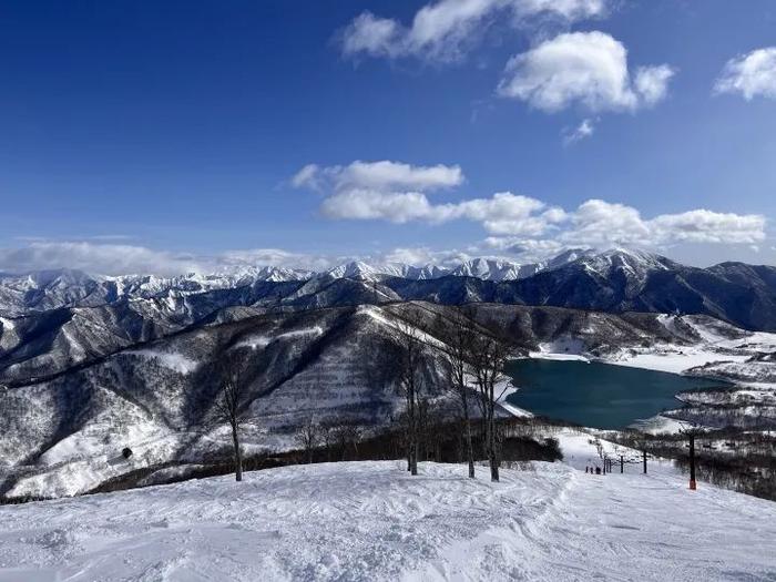 中国游客在日滑雪摔倒吸入粉雪窒息身亡，致命的“粉雪”是什么雪？