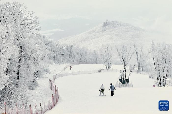 镜头连中外丨从阿尔卑斯山到长白山：“世界冰雪黄金纬度带”冰雪经济正“火热”