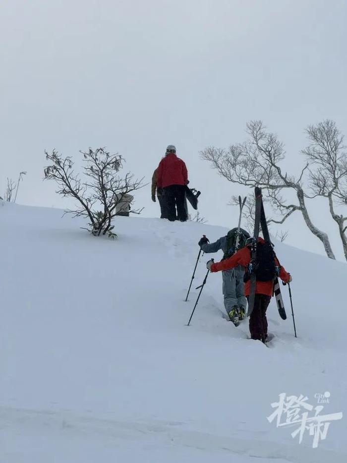 “人埋在里面几分钟就不行了，救援都来不及……”中国女子日本滑雪身亡，致命“粉雪”是什么雪？