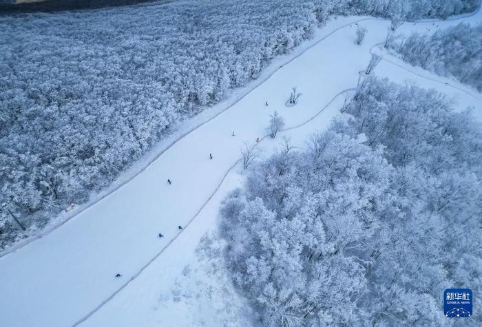 镜头连中外丨从阿尔卑斯山到长白山：“世界冰雪黄金纬度带”冰雪经济正“火热”