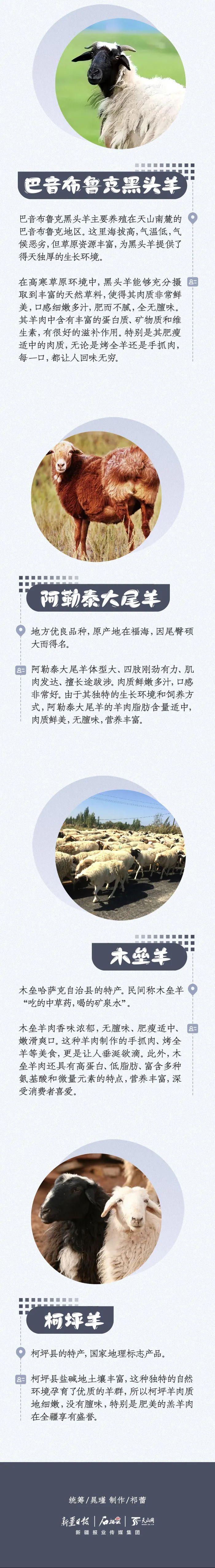 羊肉的N种吃法来了！网友：没有一只羊能活着走出新疆