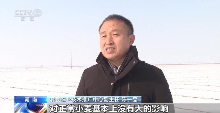 寒潮天气影响农作物生产 多地采取措施守好百姓“菜篮子”“米袋子”