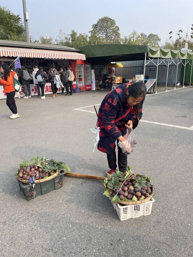 成都嬢嬢一口流利英语卖水果走红：来拍视频的人多了，但生意没变化