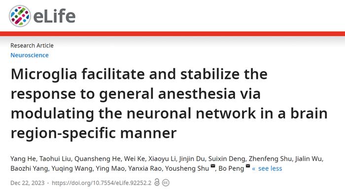 eLife｜复旦大学彭勃/舒友生：揭示小胶质细胞对麻醉诱导和觉醒过程的调控作用及其机制