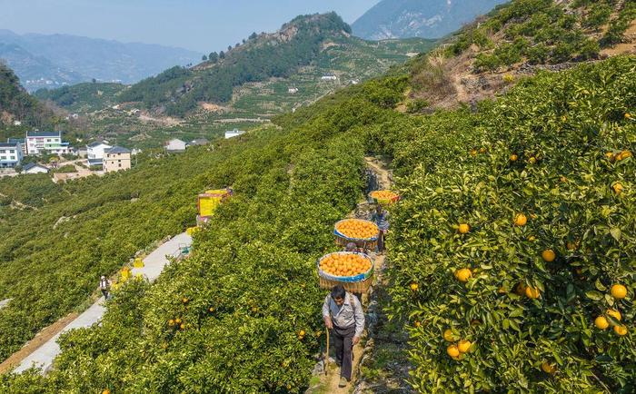 “孤岛”突围记——三访三峡库区移民村万古寺