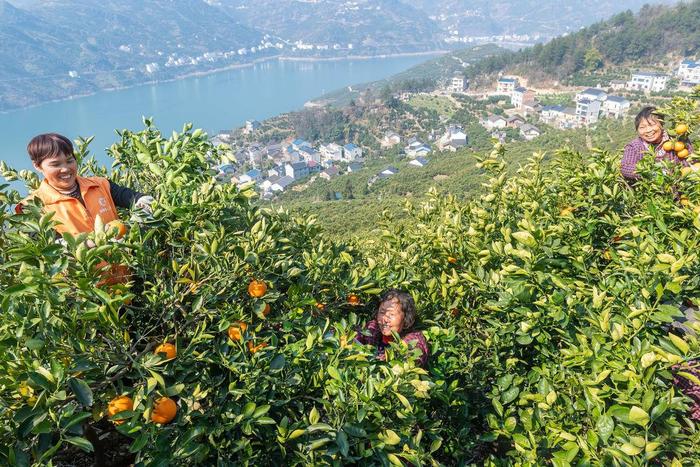 “孤岛”突围记——三访三峡库区移民村万古寺