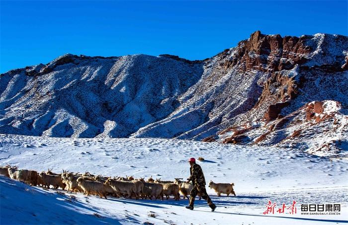 【镜观陇原】甘州区平山湖呈现唯美雪牧图