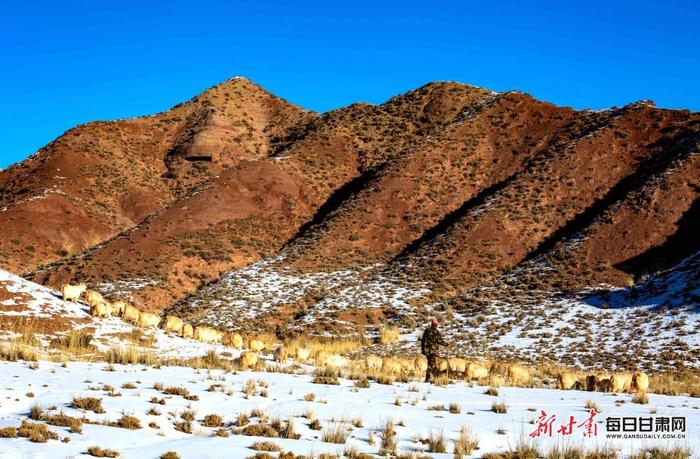 【镜观陇原】甘州区平山湖呈现唯美雪牧图