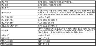 国寿安保基金管理有限公司关于旗下国寿安保策略精选灵活配置混合型证券投资基金（LOF）新增基金经理的公告